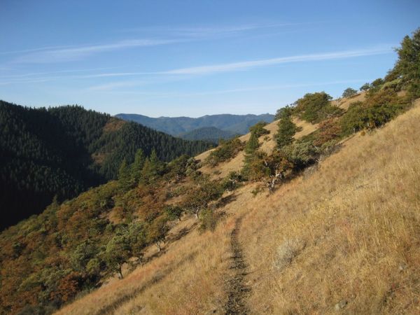 Mule Mountain Trail