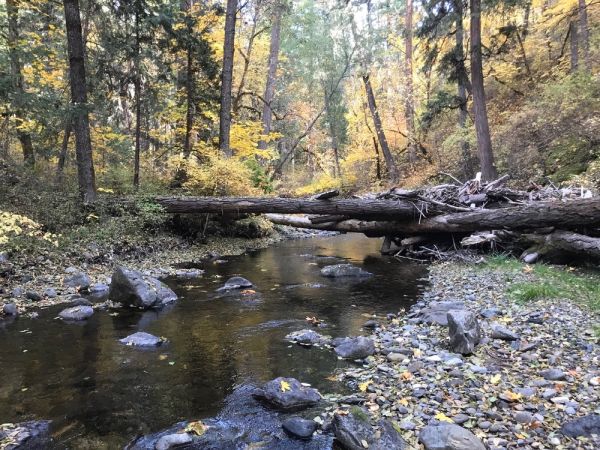 Little Applegate River in fall
