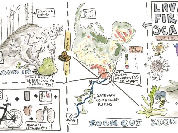 Lava Scar, three panel comic by Cody Markelz