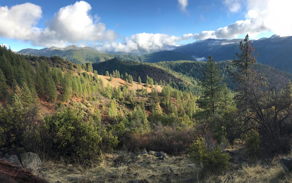Little Grayback Roadless Area