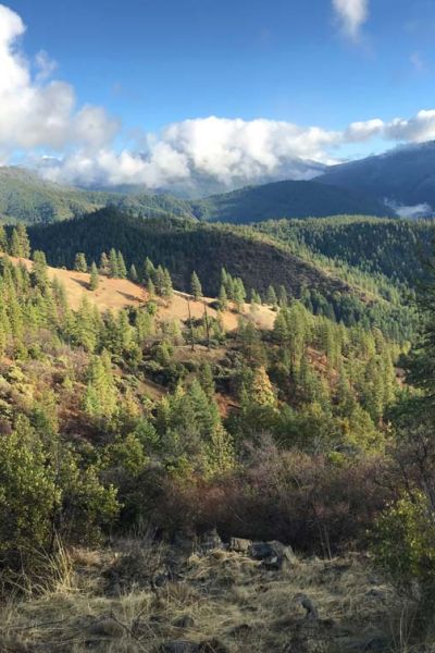 Little Grayback Roadless Area in the Siskiyou Crest region
